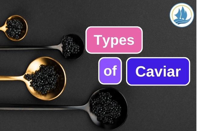 6 Types of Caviar